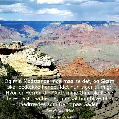 Picture 03 - Mikas 7:10 DA1871 - Og min Modstanderinde maa se det, og Skam skal - Bible Verse Picture
