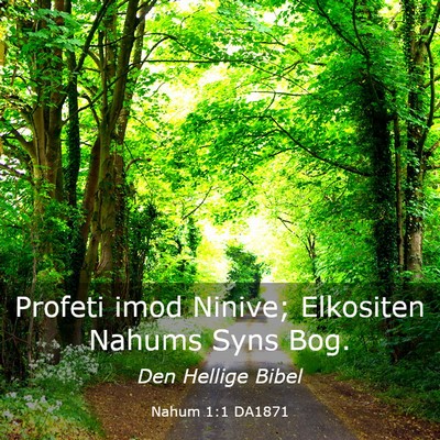 Picture 03 - Nahum 1:1 DA1871 - Profeti imod Ninive; Elkositen Nahums Syns - Bible Verse Picture