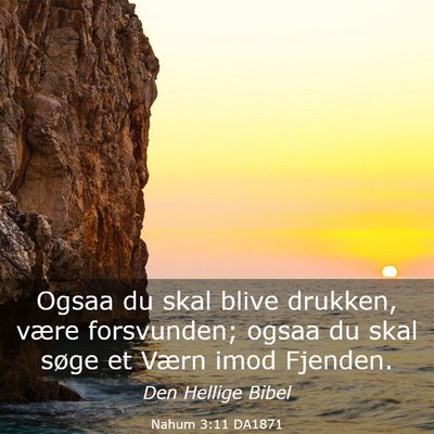 Picture 03 - Nahum 3:11 DA1871 - Ogsaa du skal blive drukken, være forsvunden; - Bible Verse Picture