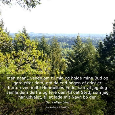 Picture 03 - Nehemias 1:9 DA1871 - men naar I vende om til mig og holde mine Bud og - Bible Verse Picture