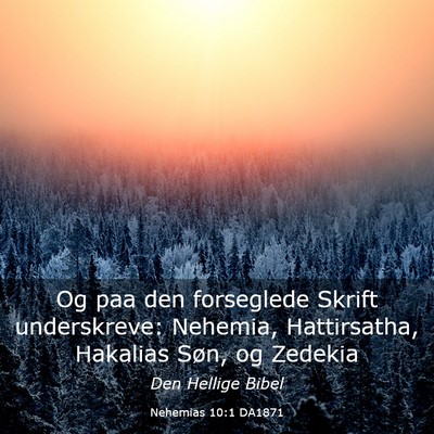 Picture 03 - Nehemias 10:1 DA1871 - Og paa den forseglede Skrift underskreve: - Bible Verse Picture