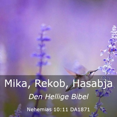 Picture 03 - Nehemias 10:11 DA1871 - Mika, Rekob, - Bible Verse Picture
