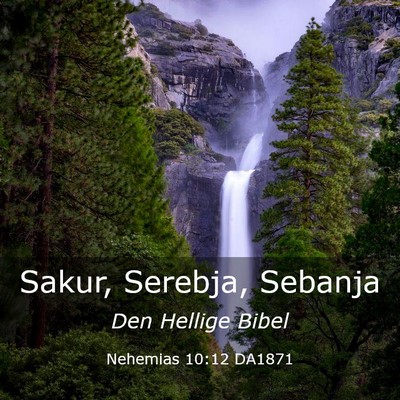 Picture 03 - Nehemias 10:12 DA1871 - Sakur, Serebja, - Bible Verse Picture