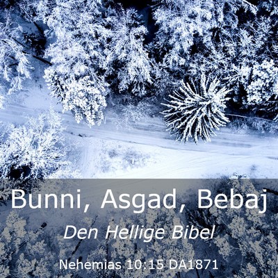 Picture 03 - Nehemias 10:15 DA1871 - Bunni, Asgad, - Bible Verse Picture