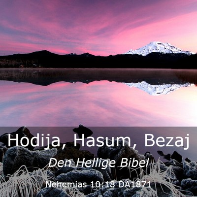 Picture 03 - Nehemias 10:18 DA1871 - Hodija, Hasum, - Bible Verse Picture
