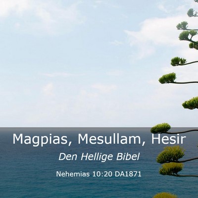 Picture 03 - Nehemias 10:20 DA1871 - Magpias, Mesullam, - Bible Verse Picture