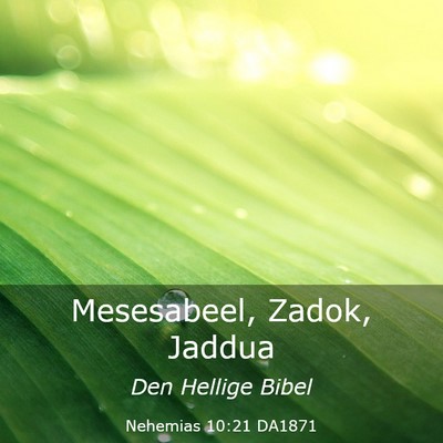 Picture 03 - Nehemias 10:21 DA1871 - Mesesabeel, Zadok, - Bible Verse Picture