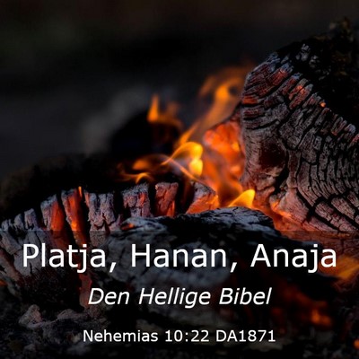 Picture 03 - Nehemias 10:22 DA1871 - Platja, Hanan, - Bible Verse Picture