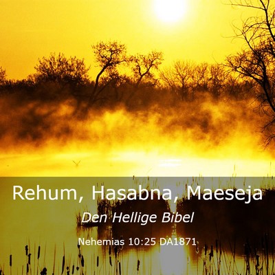 Picture 03 - Nehemias 10:25 DA1871 - Rehum, Hasabna, - Bible Verse Picture