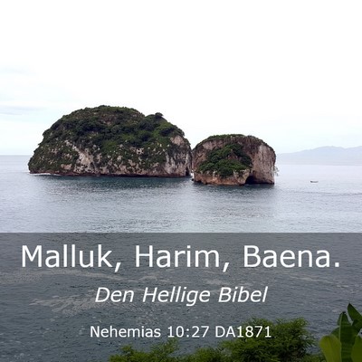 Picture 03 - Nehemias 10:27 DA1871 - Malluk, Harim, - Bible Verse Picture