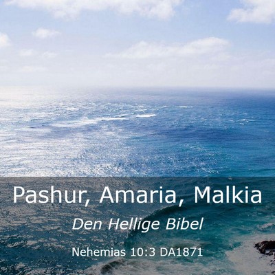 Picture 03 - Nehemias 10:3 DA1871 - Pashur, Amaria, - Bible Verse Picture