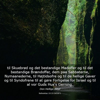 Picture 03 - Nehemias 10:33 DA1871 - til Skuebrød og det bestandige Madoffer og til - Bible Verse Picture