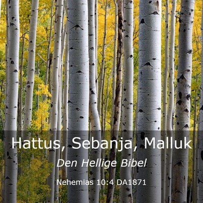 Picture 03 - Nehemias 10:4 DA1871 - Hattus, Sebanja, - Bible Verse Picture