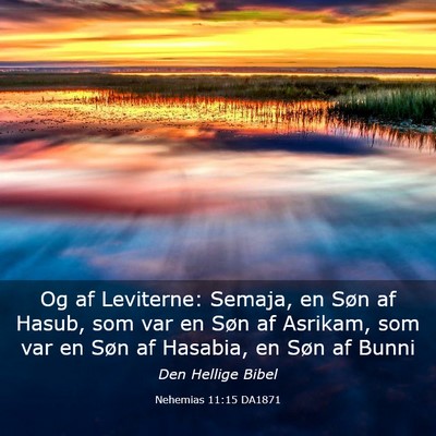 Picture 03 - Nehemias 11:15 DA1871 - Og af Leviterne: Semaja, en Søn af Hasub, som - Bible Verse Picture