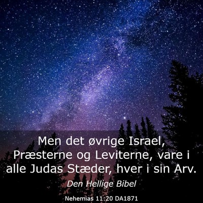 Picture 03 - Nehemias 11:20 DA1871 - Men det øvrige Israel, Præsterne og Leviterne, - Bible Verse Picture