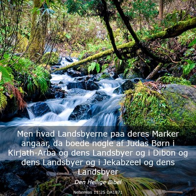 Picture 03 - Nehemias 11:25 DA1871 - Men hvad Landsbyerne paa deres Marker angaar, da - Bible Verse Picture