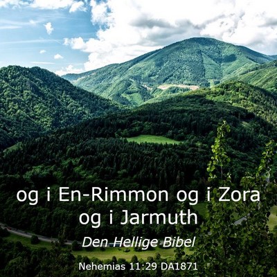 Picture 03 - Nehemias 11:29 DA1871 - og i En-Rimmon og i Zora og i - Bible Verse Picture
