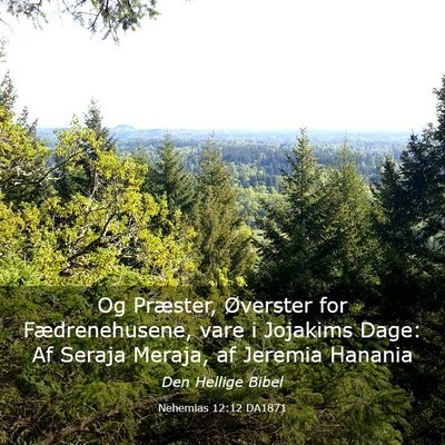 Picture 03 - Nehemias 12:12 DA1871 - Og Præster, Øverster for Fædrenehusene, vare i - Bible Verse Picture