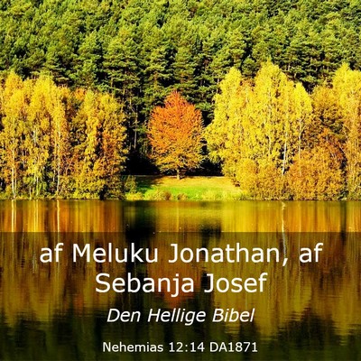 Picture 03 - Nehemias 12:14 DA1871 - af Meluku Jonathan, af Sebanja - Bible Verse Picture