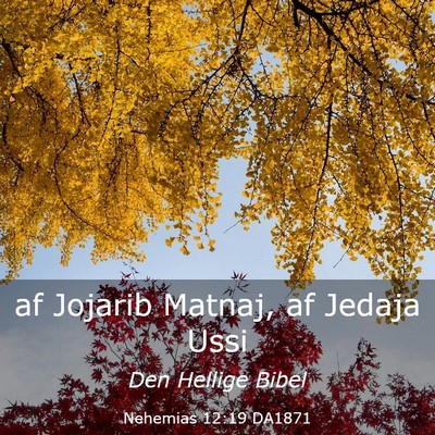Picture 03 - Nehemias 12:19 DA1871 - af Jojarib Matnaj, af Jedaja - Bible Verse Picture