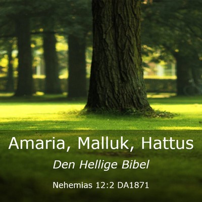 Picture 03 - Nehemias 12:2 DA1871 - Amaria, Malluk, - Bible Verse Picture