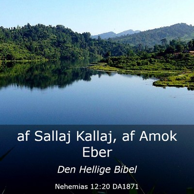 Picture 03 - Nehemias 12:20 DA1871 - af Sallaj Kallaj, af Amok - Bible Verse Picture
