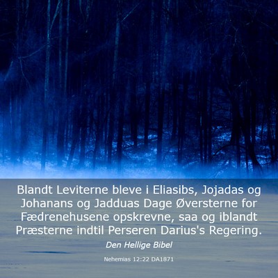 Picture 03 - Nehemias 12:22 DA1871 - Blandt Leviterne bleve i Eliasibs, Jojadas og - Bible Verse Picture