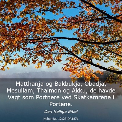 Picture 03 - Nehemias 12:25 DA1871 - Matthanja og Bakbukja, Obadja, Mesullam, Thaimon - Bible Verse Picture