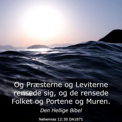 Picture 03 - Nehemias 12:30 DA1871 - Og Præsterne og Leviterne rensede sig, og de - Bible Verse Picture