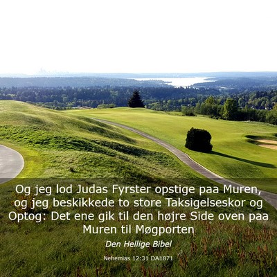 Picture 03 - Nehemias 12:31 DA1871 - Og jeg lod Judas Fyrster opstige paa Muren, og - Bible Verse Picture