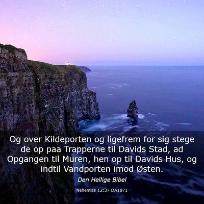 Picture 03 - Nehemias 12:37 DA1871 - Og over Kildeporten og ligefrem for sig stege de - Bible Verse Picture