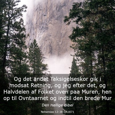 Picture 03 - Nehemias 12:38 DA1871 - Og det andet Taksigelseskor gik i modsat Retning, - Bible Verse Picture