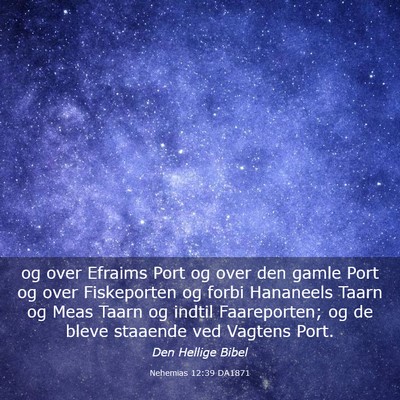 Picture 03 - Nehemias 12:39 DA1871 - og over Efraims Port og over den gamle Port og - Bible Verse Picture