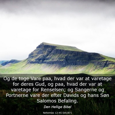 Picture 03 - Nehemias 12:45 DA1871 - Og de toge Vare paa, hvad der var at varetage for - Bible Verse Picture