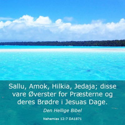 Picture 03 - Nehemias 12:7 DA1871 - Sallu, Amok, Hilkia, Jedaja; disse vare Øverster - Bible Verse Picture