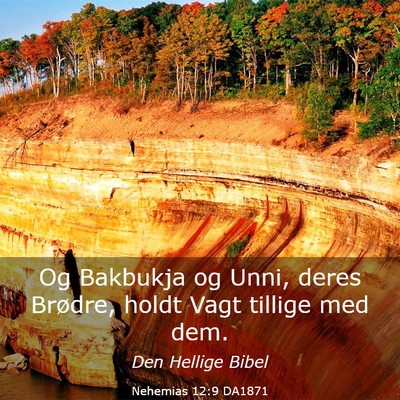 Picture 03 - Nehemias 12:9 DA1871 - Og Bakbukja og Unni, deres Brødre, holdt Vagt - Bible Verse Picture