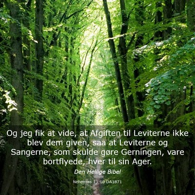 Picture 03 - Nehemias 13:10 DA1871 - Og jeg fik at vide, at Afgiften til Leviterne - Bible Verse Picture