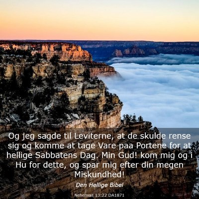 Picture 03 - Nehemias 13:22 DA1871 - Og jeg sagde til Leviterne, at de skulde rense - Bible Verse Picture