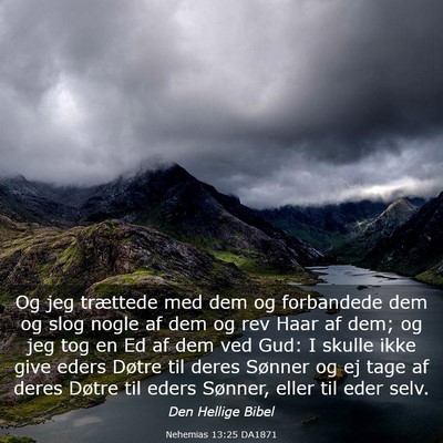 Picture 03 - Nehemias 13:25 DA1871 - Og jeg trættede med dem og forbandede dem og - Bible Verse Picture