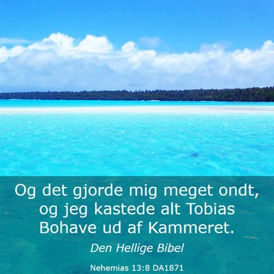 Picture 03 - Nehemias 13:8 DA1871 - Og det gjorde mig meget ondt, og jeg kastede alt - Bible Verse Picture