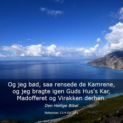 Picture 03 - Nehemias 13:9 DA1871 - Og jeg bød, saa rensede de Kamrene, og jeg - Bible Verse Picture