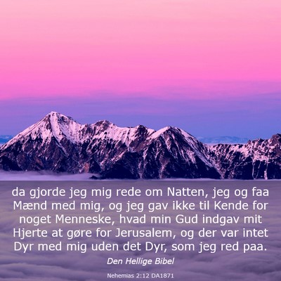 Picture 03 - Nehemias 2:12 DA1871 - da gjorde jeg mig rede om Natten, jeg og faa - Bible Verse Picture