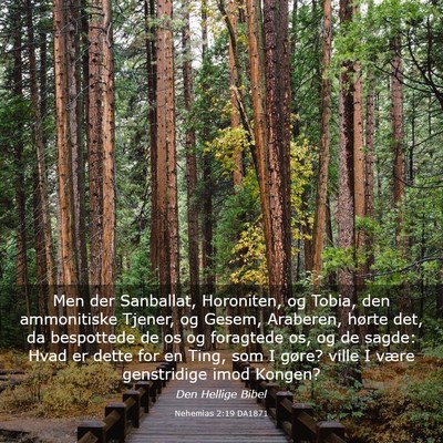 Picture 03 - Nehemias 2:19 DA1871 - Men der Sanballat, Horoniten, og Tobia, den - Bible Verse Picture