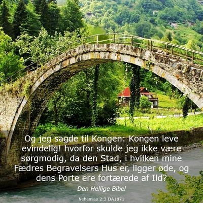 Picture 03 - Nehemias 2:3 DA1871 - Og jeg sagde til Kongen: Kongen leve evindelig! - Bible Verse Picture
