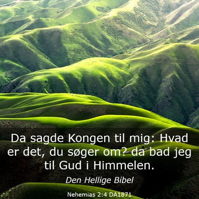 Picture 03 - Nehemias 2:4 DA1871 - Da sagde Kongen til mig: Hvad er det, du søger - Bible Verse Picture