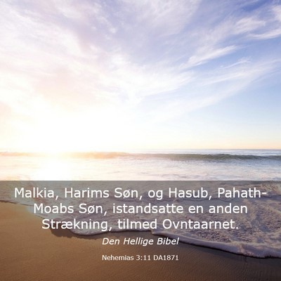 Picture 03 - Nehemias 3:11 DA1871 - Malkia, Harims Søn, og Hasub, Pahath-Moabs Søn, - Bible Verse Picture