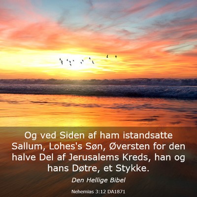 Picture 03 - Nehemias 3:12 DA1871 - Og ved Siden af ham istandsatte Sallum, Lohes's - Bible Verse Picture