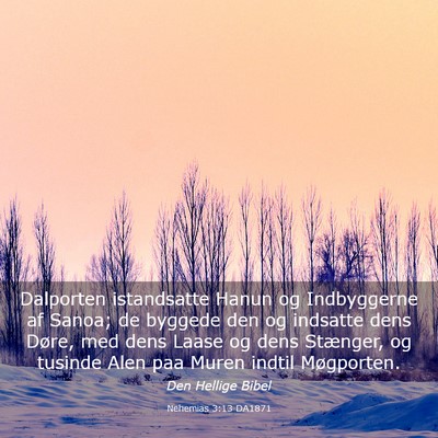 Picture 03 - Nehemias 3:13 DA1871 - Dalporten istandsatte Hanun og Indbyggerne af - Bible Verse Picture