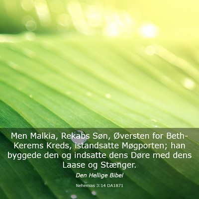 Picture 03 - Nehemias 3:14 DA1871 - Men Malkia, Rekabs Søn, Øversten for - Bible Verse Picture