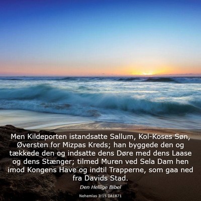 Picture 03 - Nehemias 3:15 DA1871 - Men Kildeporten istandsatte Sallum, Kol-Koses - Bible Verse Picture